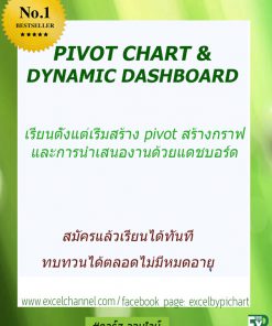 CoursePivotChartandDynamicDashboard